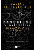 Zagubione w matematyce Fizyka w pułapce piękna