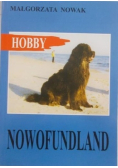 Hobby  Nowofundland