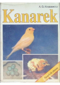 Kanarek