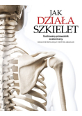 Jak działa szkielet