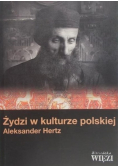 Żydzi w kulturze polskiej