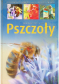 Pszczoły