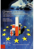 Czynniki sukcesu polskich przedsiębiorstw Unii Europejskiej