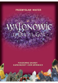 Walonowie u Ducha Gór