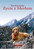 Życie z Merlem