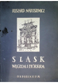 Śląsk węglem i piórkiem