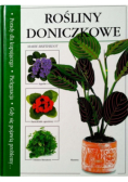 Rośliny doniczkowe