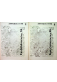 Sonderlaboratorium SS Zamojszczyzna  Tom 1 i 2