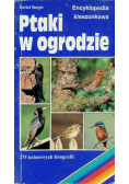 Ptaki w ogrodzie Encyklopedia kieszonkowa