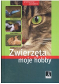 Zwierzęta moje hobby