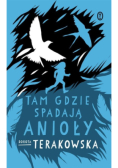 Tam gdzie spadają Anioły
