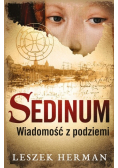 Sedinum. Wiadomość z podziemi