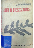 Łuny w Bieszczadach