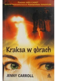 Kraksa w górach