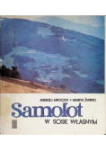 Samolot w sosie własnym
