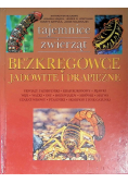 Tajemnice zwierząt Bezkręgowce jadowite i drapieżne