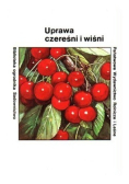 Uprawa czereśni i wiśni