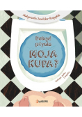 Dokąd płynie moja kupa?