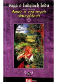 Saga o ludziach lodu Tom 25 Anioł o czarnych skrzydłach