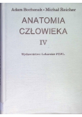 Anatomia człowieka Tom V
