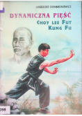 Dynamiczna pięść Choy Lee Fut kung fu