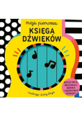 Księga dźwięków