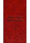 Przez Krew jego krzyża