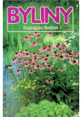 Byliny