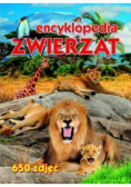 Encyklopedia zwierząt 650 zdjęć