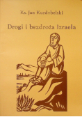 Drogi i bezdroża Izraela
