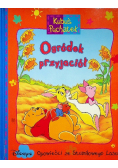 Kubuś Puchatek Ogródek przyjaciół