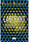 Labirynt na ciebie poluje