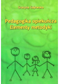 Pedagogika opiekuńcza Elementy metodyki