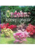Ozdobne krzewy i pnącza
