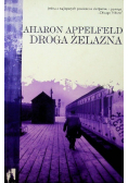 Droga żelazna