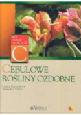 Cebulowe rośliny ozdobne
