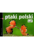 Ptaki Polski