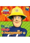 Strażak Sam. Do Pary! Co się dzieje w Pontypandy