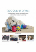 Pies sam w domu