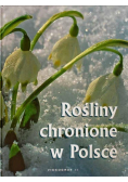 Rośliny chronione w Polsce