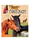 Kozińska opowiada o koniach