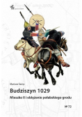 Budziszyn 1029 Mieszko II i oblężenie połabskiego grodu