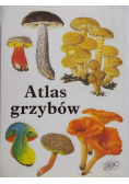Atlas grzybów