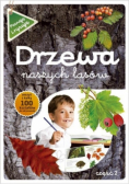Poznaję i rysuję Drzewa naszych lasów