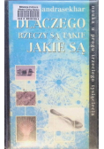 Dlaczego rzeczy są takie jakie są