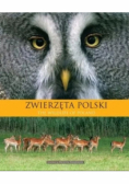 Zwierzęta Polski