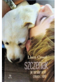 Szczeniak Jak labrador ocalił chłopca z ADHD