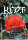 Róże najpiękniejsze odmiany sadzenie, rozmnażanie, cięcie kompozycje ogrodowe
