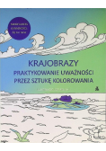 Bright Joe - Krajobrazy Praktykowanie uważności przez sztukę kolorowania, Nowa