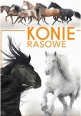 Konie rasowe